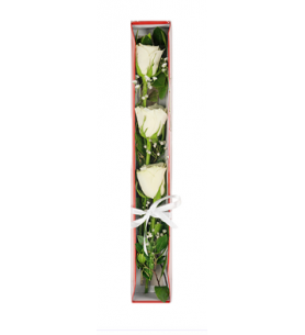 Kutuda Beyaz Güller (3'lü - ~48 cm)